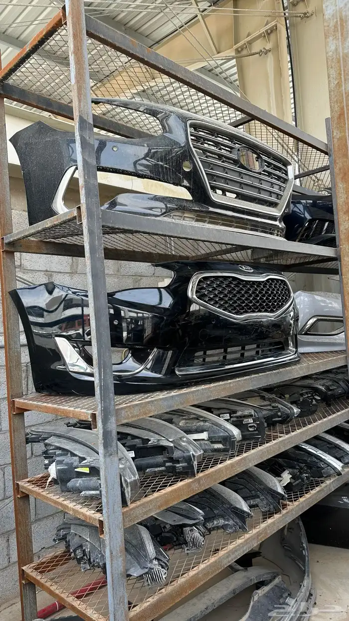 صدام كادينزا 2015 1