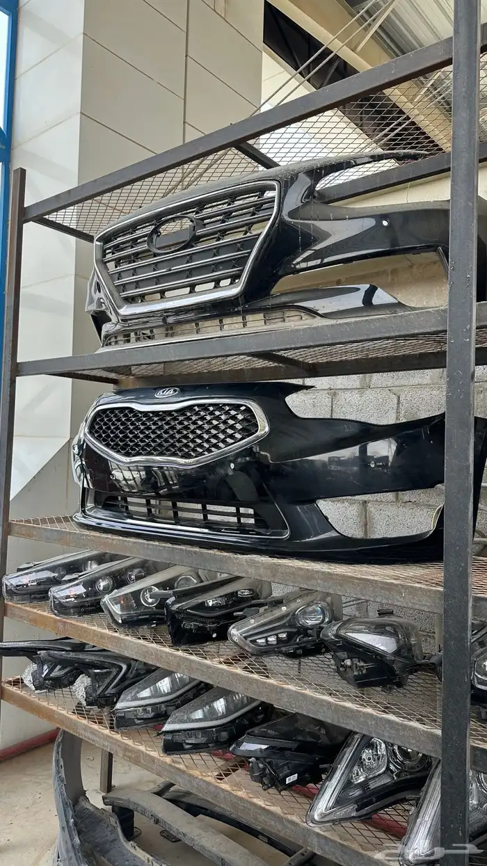 صدام كادينزا 2015 0