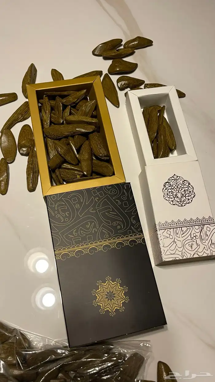 عود ملكي 1