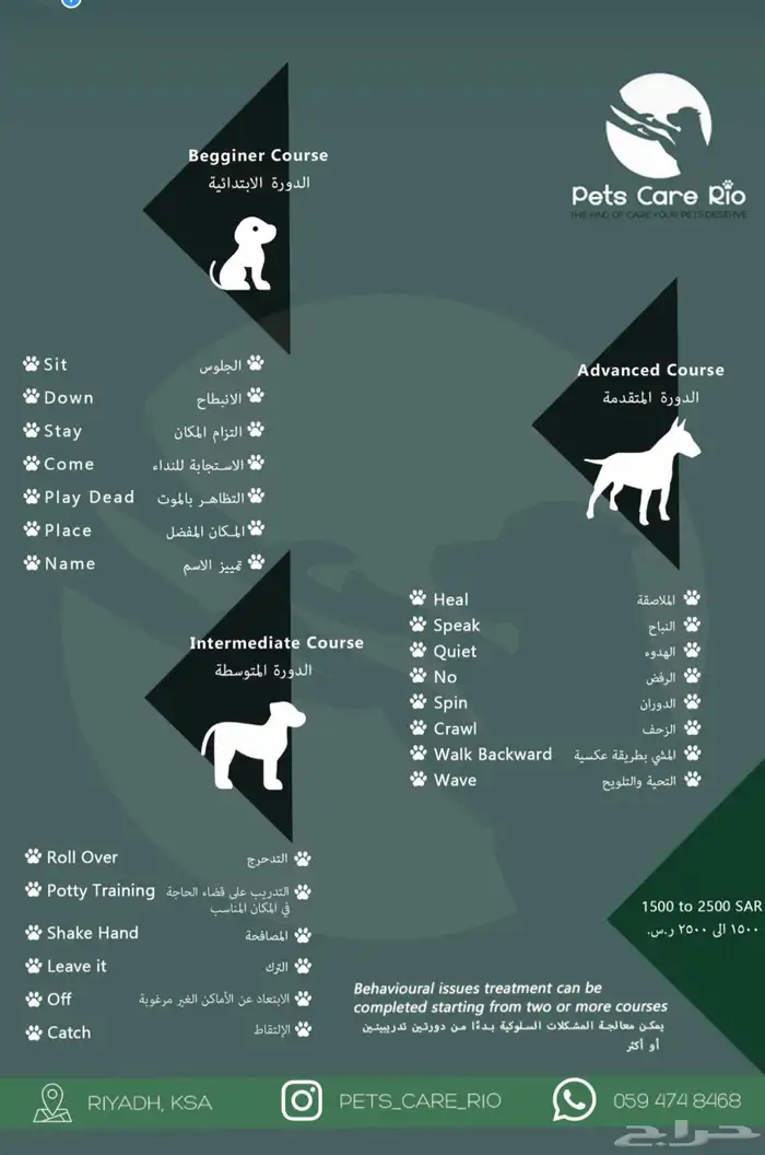 مدرب كلاب تدريب كلاب 1