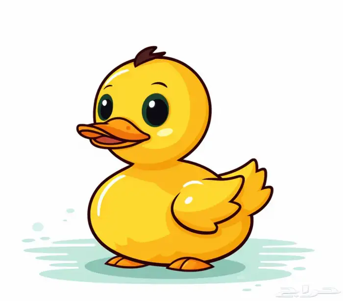 متجر Modi Birds 0