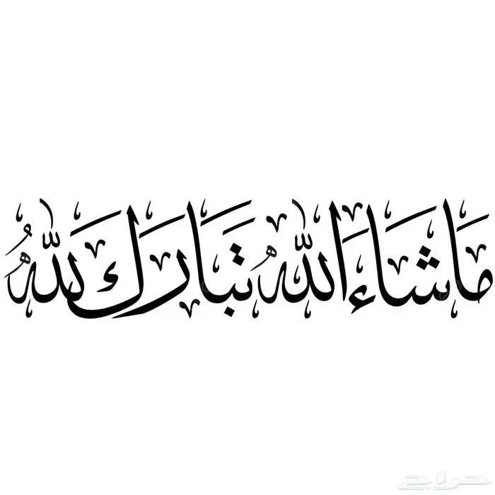 ونش شاص من اندر النوادر وكاله ( واتس فقط ) 3
