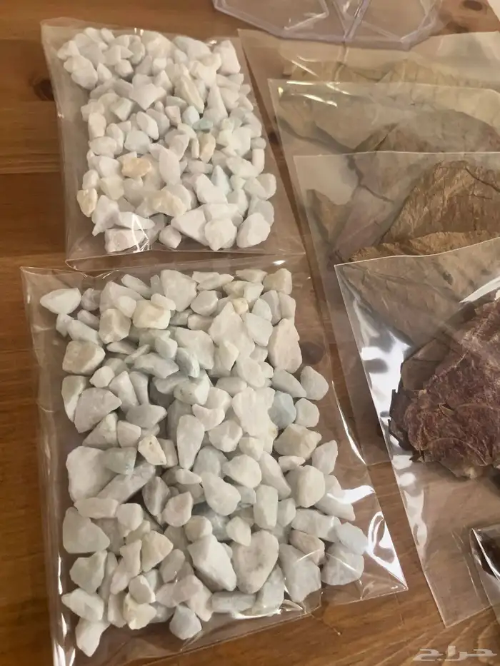 مستلزمات اسماك 0