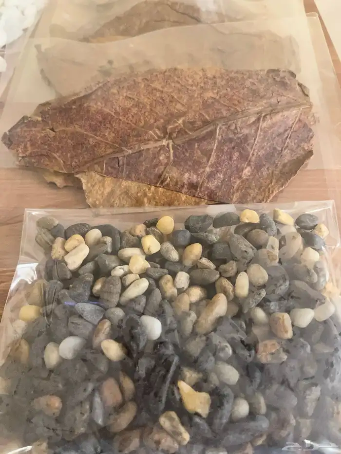 مستلزمات اسماك 1