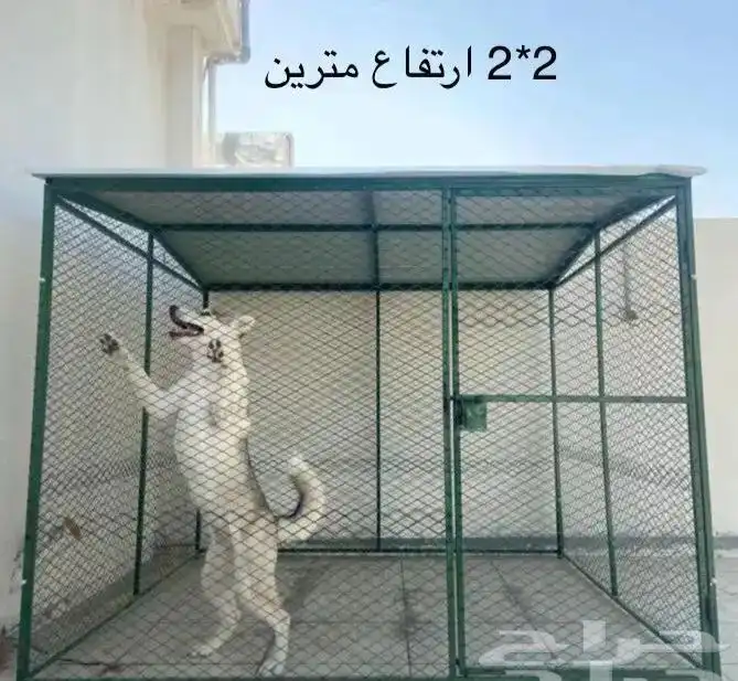شبك طيور عشه اقفاص 25