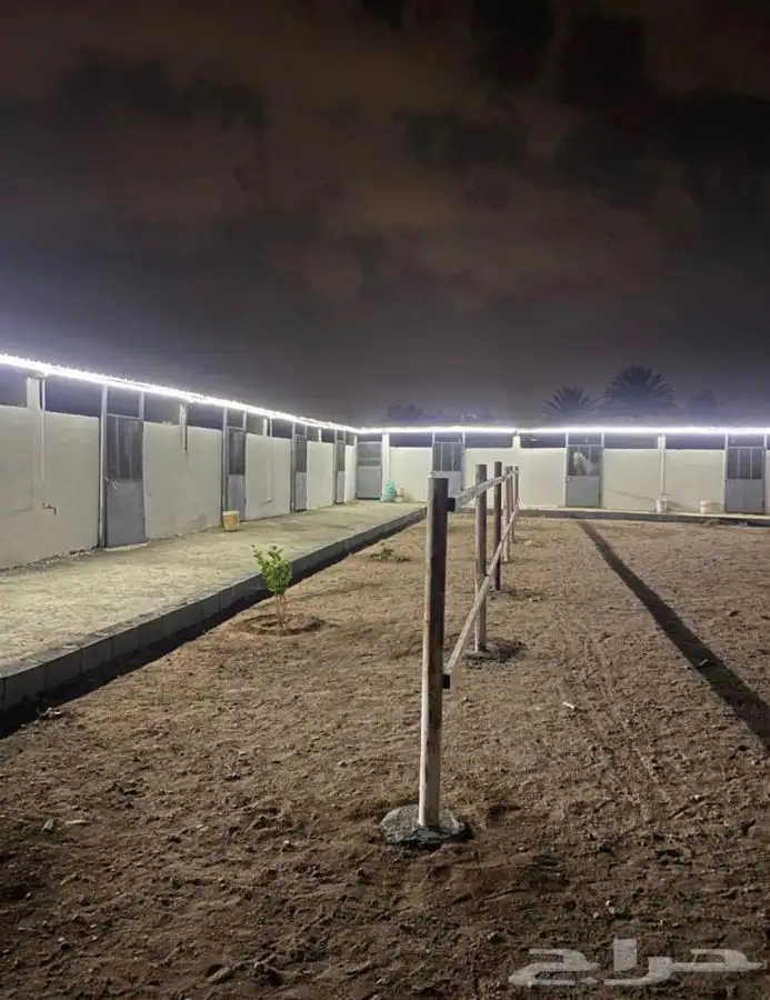 أسطبل للايجار الشهري بوايك خيل 3