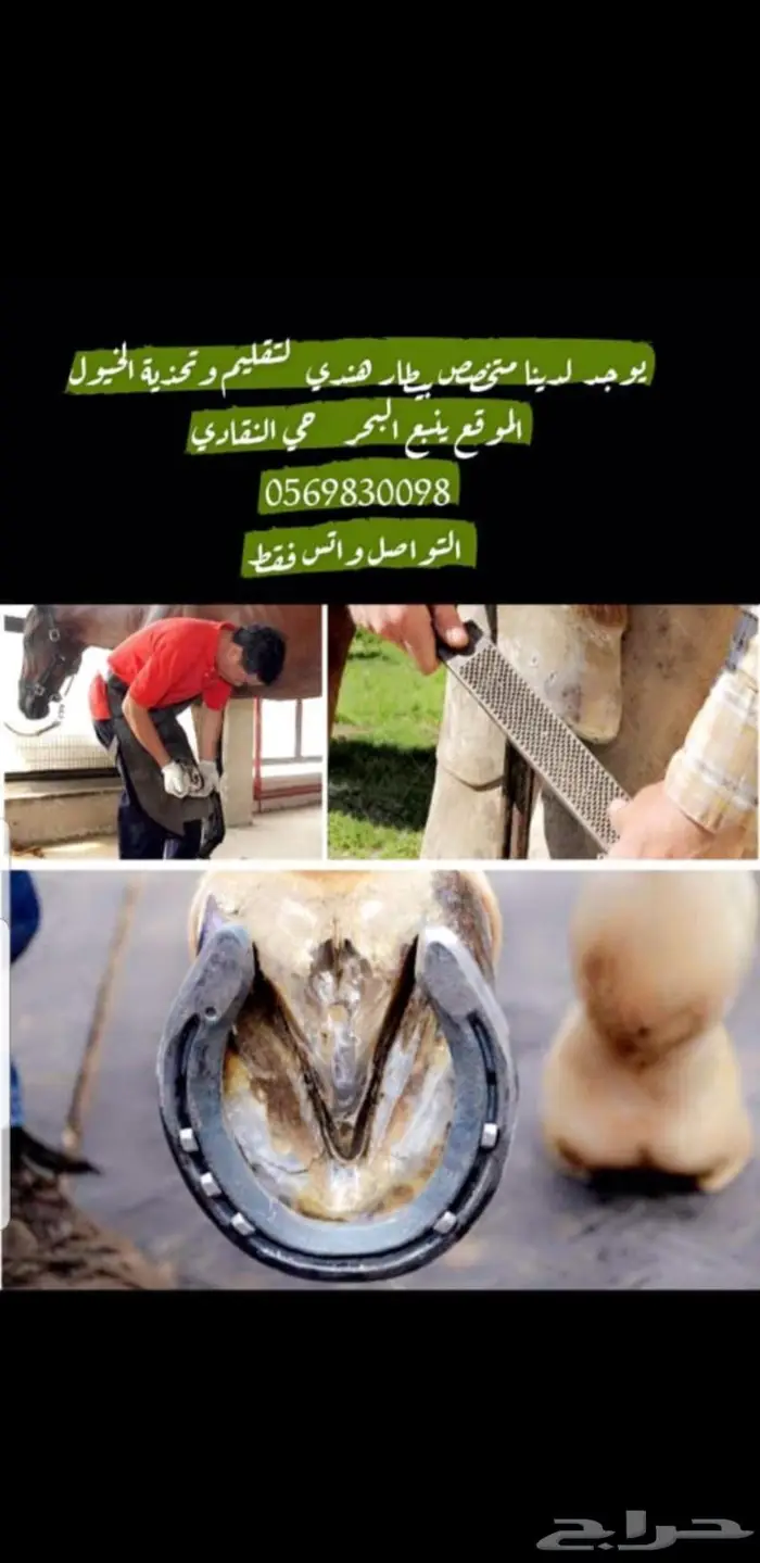 بيطار خيول بأقل الأسعار 0