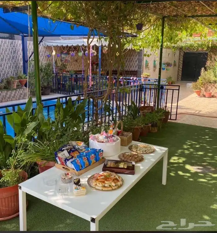 الحق عرض شالية السعر 150 فديو واتس 4