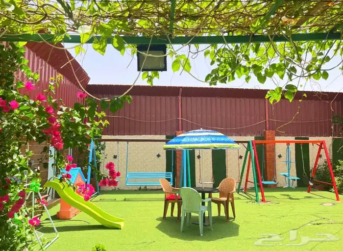 الحق عرض شالية السعر 150 فديو واتس 2