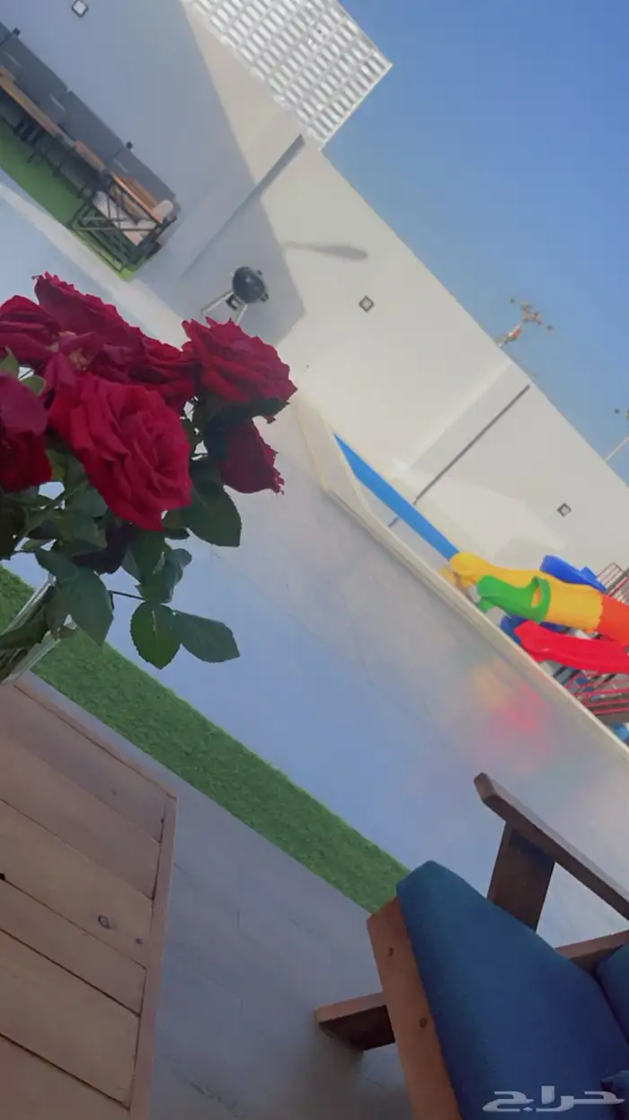 شالية بريم روز الفندقي 8