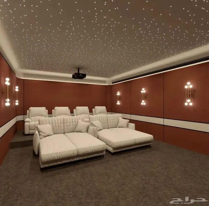 سينما منزلية ورسم جدران 8