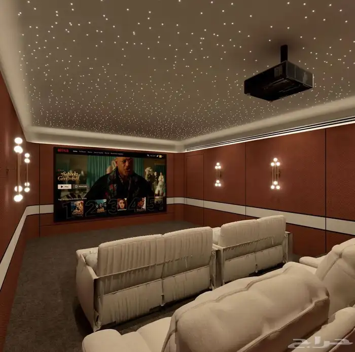 سينما منزلية ورسم جدران 9