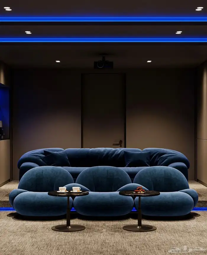 سينما منزلية ورسم جدران 6