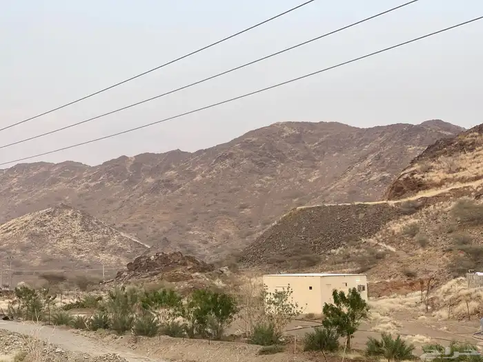 استراحه للبيع فيها كهرباء ورتواز مويه وافره ومشجره 3