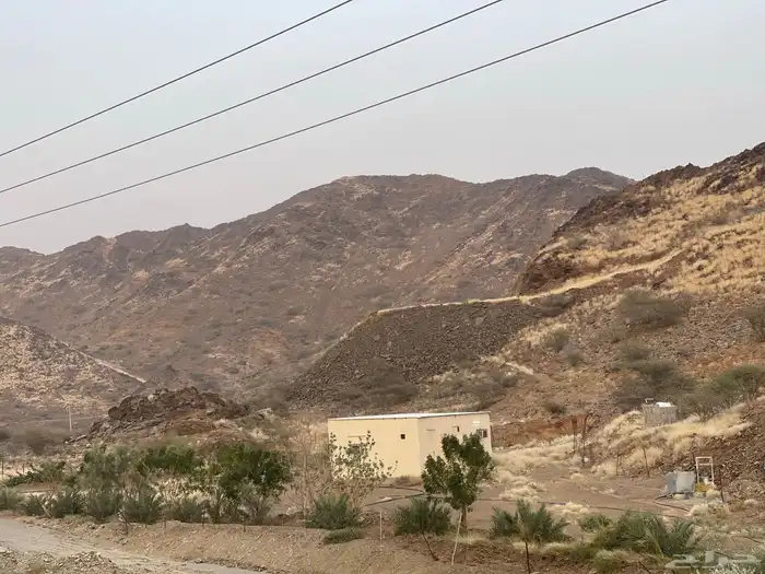 استراحه للبيع فيها كهرباء ورتواز مويه وافره ومشجره 0