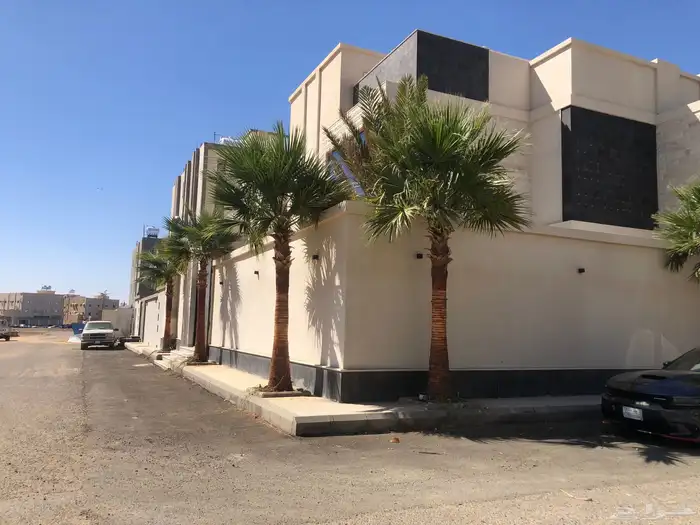 فسايل وجثايث نخل وزيتون 3