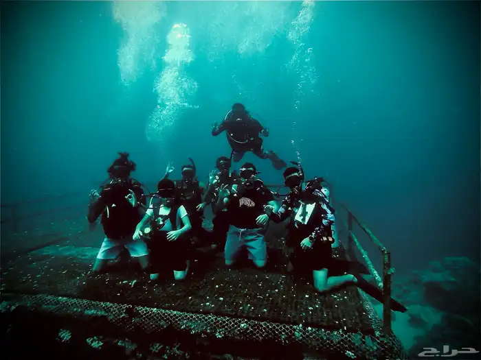 دورات وتجربة الغوص 10