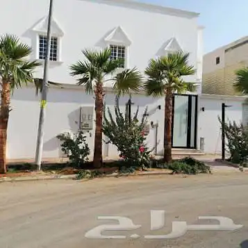 اللعمال النخيل العربي و الوشنطني 2