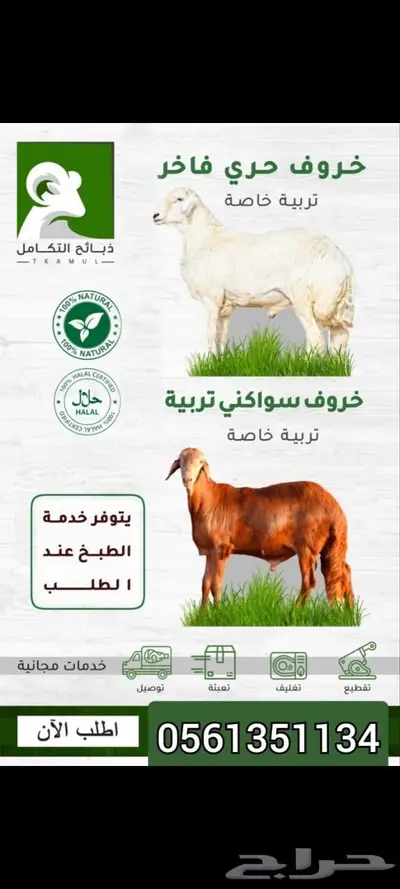 ذبايح مناسبات مع الطبخ والتوصيل وذبايح ثلاجة 4