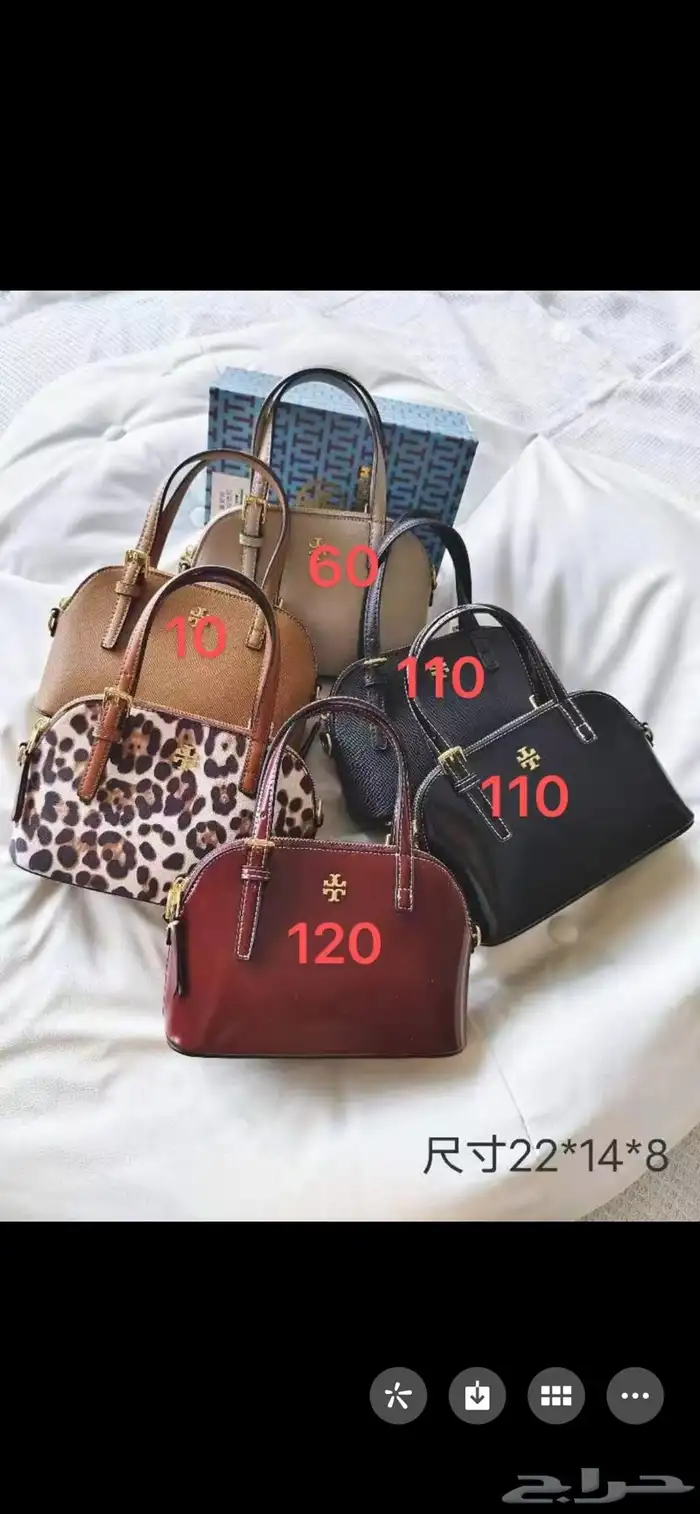 شنط جملة ما ستر هيكلوتي 5