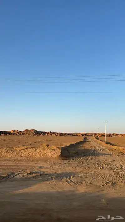مزرعة شرق كبد القصيم صكين 120 دينمو بير عمق 600 متر 10