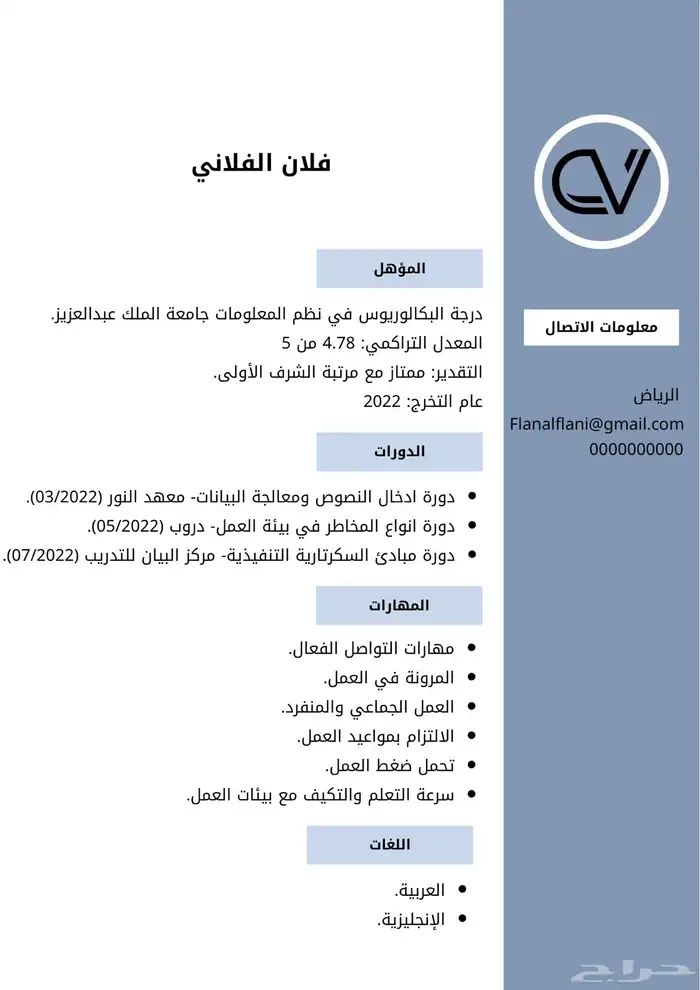 سيرة ذاتية خدمات إلكترونية 0