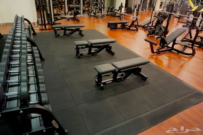 الأرضيات الرياضية 13