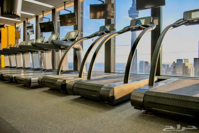 الأرضيات الرياضية 12