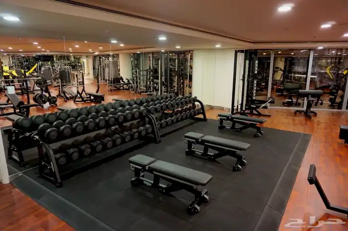 الأرضيات الرياضية 6