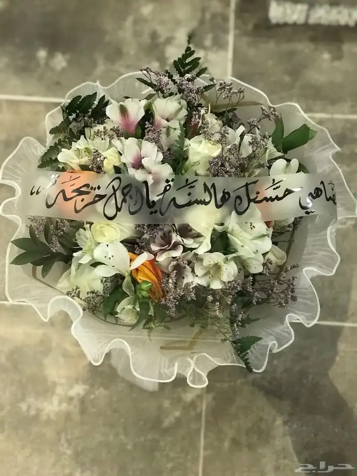منسق وخطاط مصري جنسيه 41