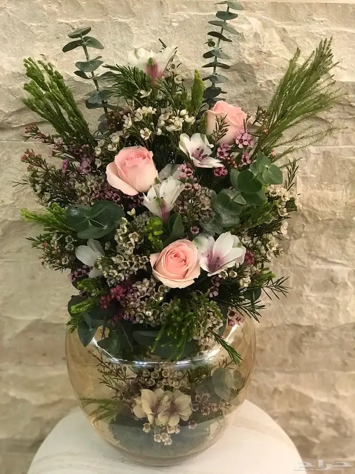 منسق وخطاط مصري جنسيه 42