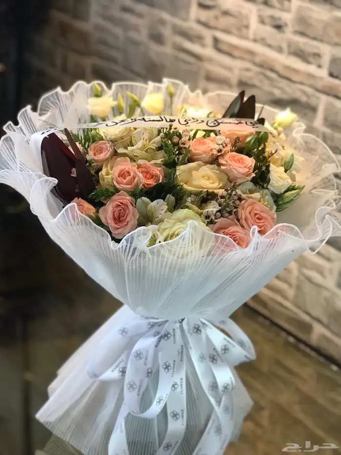 منسق وخطاط مصري جنسيه 29