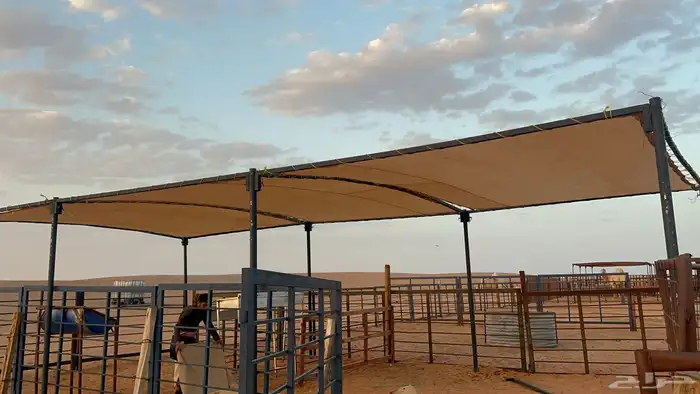 شبوك أبل مضلات 5