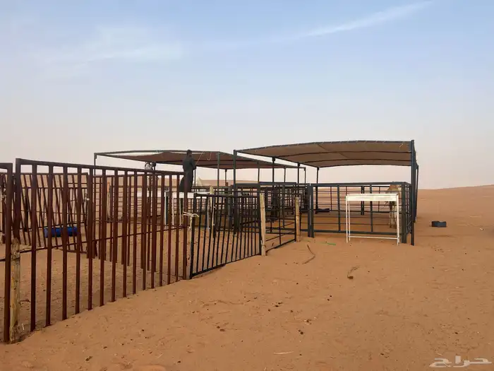 شبوك أبل مضلات 2