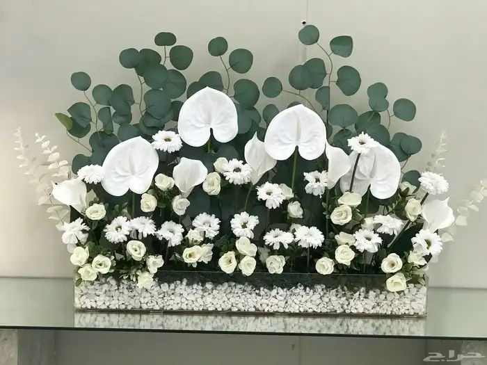 منسق وخطاط هدايا تغليف فقط 3