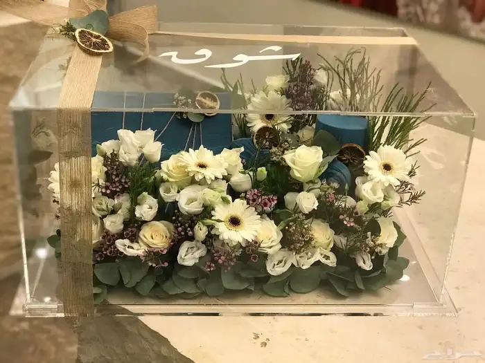 منسق وخطاط مصري جنسيه 44