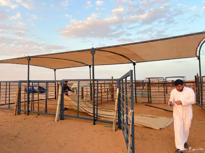 شبوك أبل مضلات 4