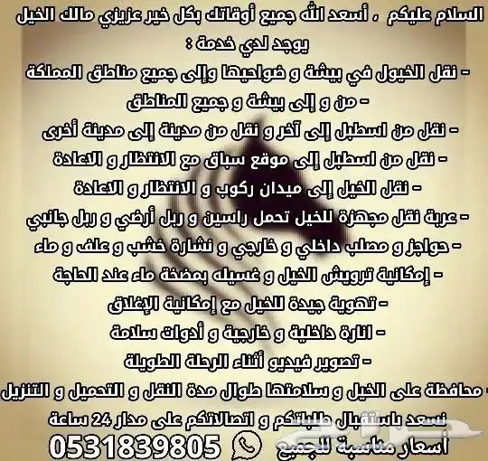 مشاوير و نقل خيول 0