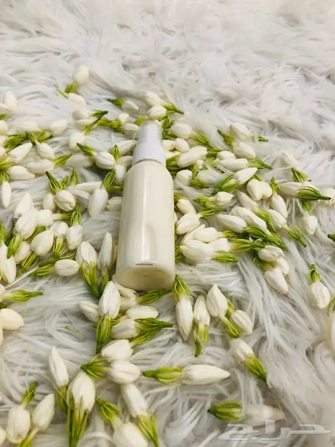 عشاق عطور الفل الياسمين 0