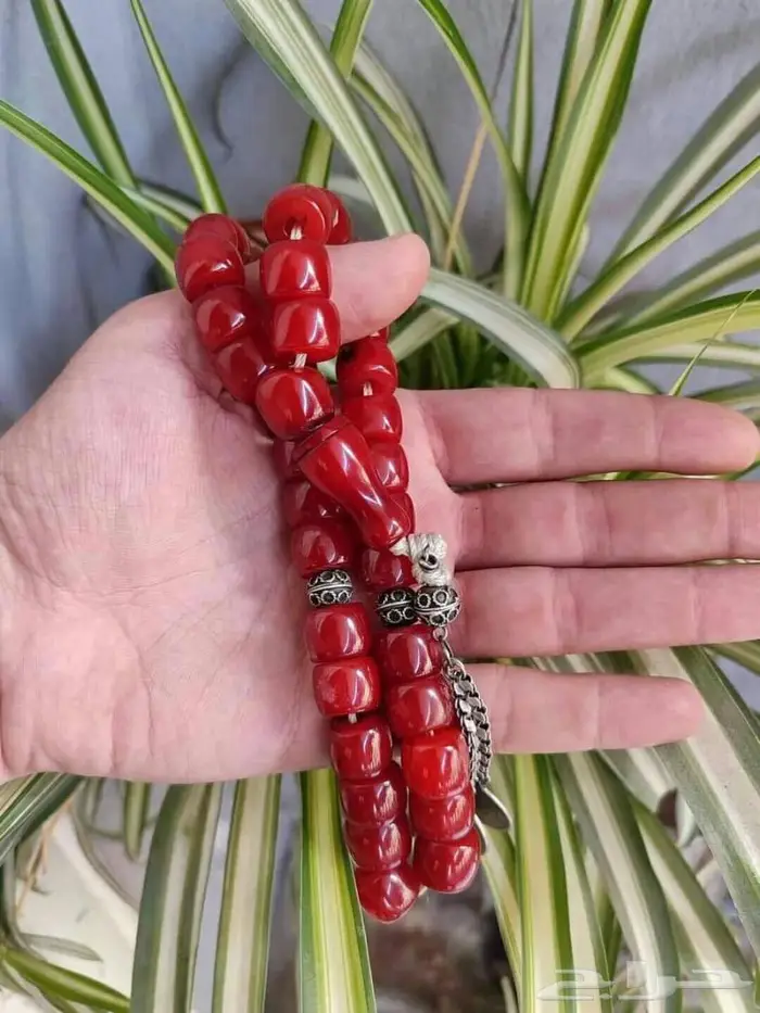 سبحه انتيك والخامه مشروطه الماني زينه وخزينه 15