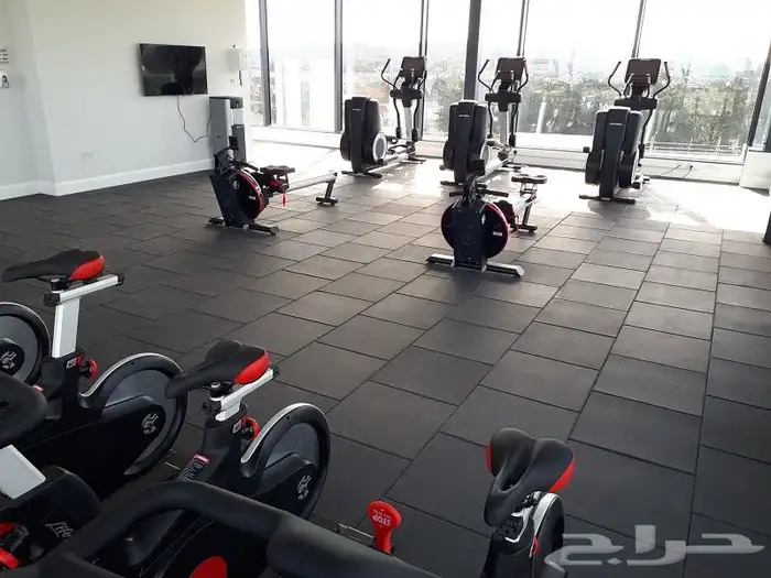 الأرضيات الرياضية 4