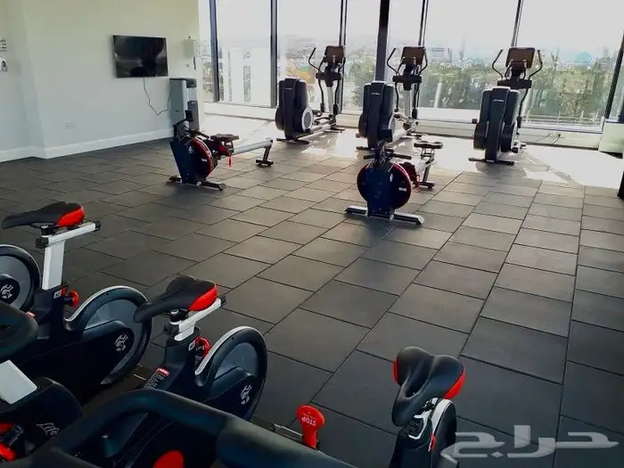 الأرضيات الرياضية 14