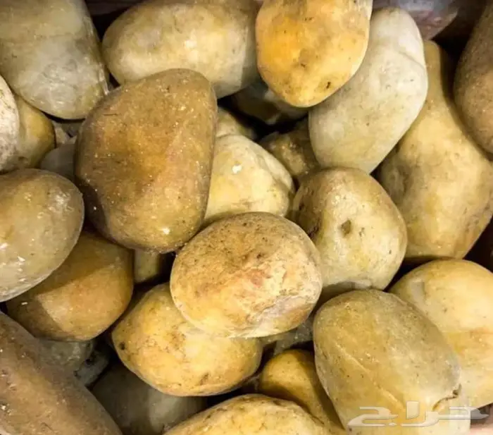 احجار وحصي بأحجام متنوعة 19