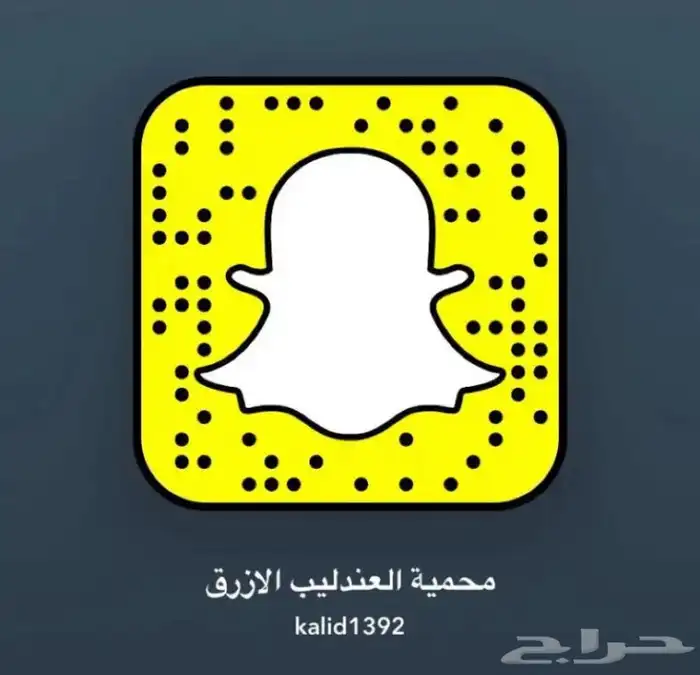 اسماك فايتر واسماك منوعه بسعر الجمله 3