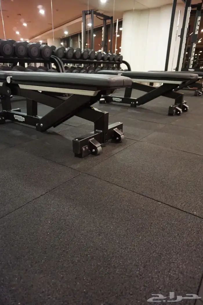 الأرضيات الرياضية 3