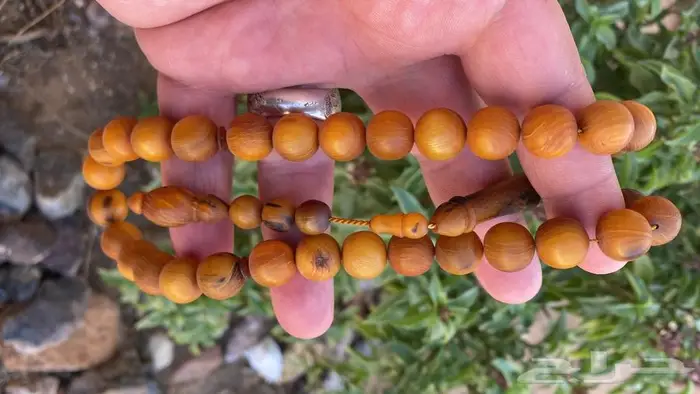 سبحه انتيك والخامه مشروطه الماني زينه وخزينه 0