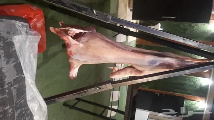 الرياض وضواحيها 0
