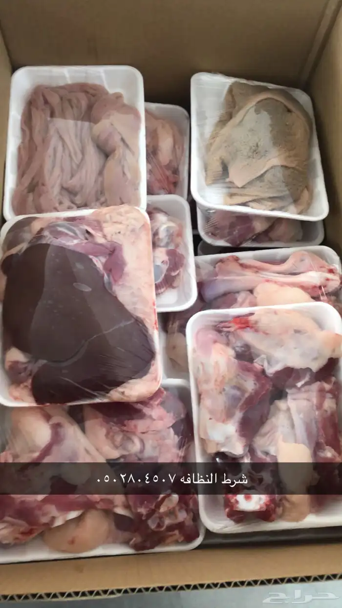 تيوس وخرفان ( ذبح وتوصيل ) 1