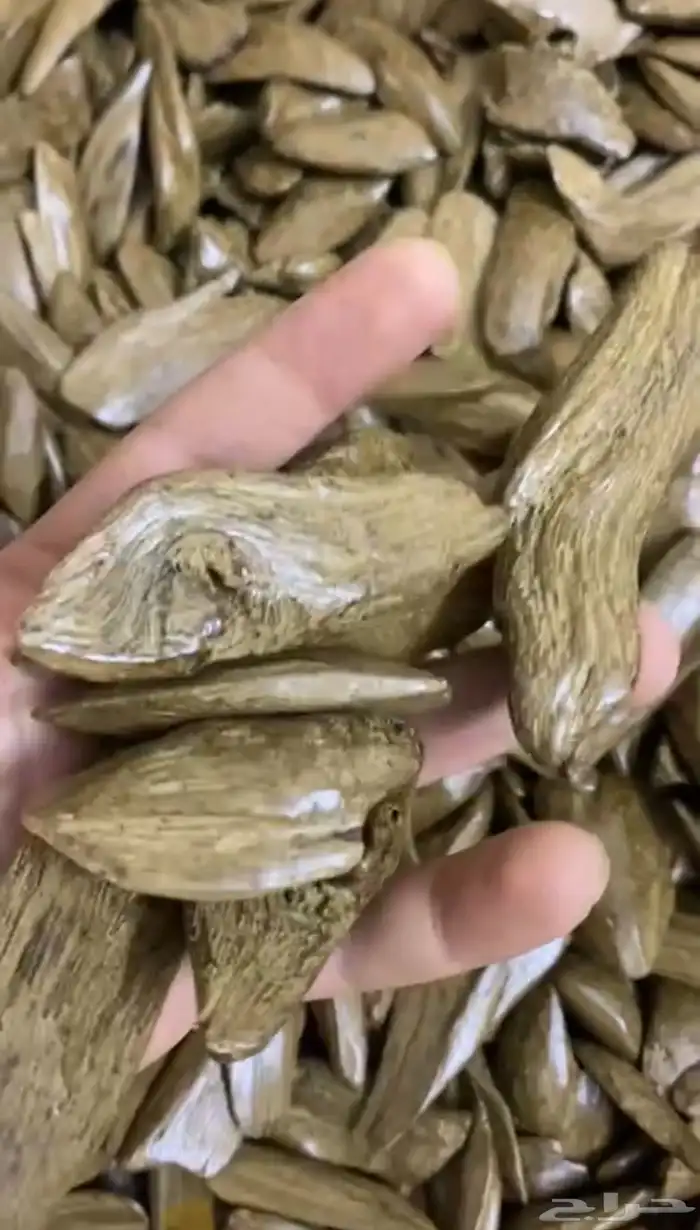 مروكي دبل سوبر فاخر 1