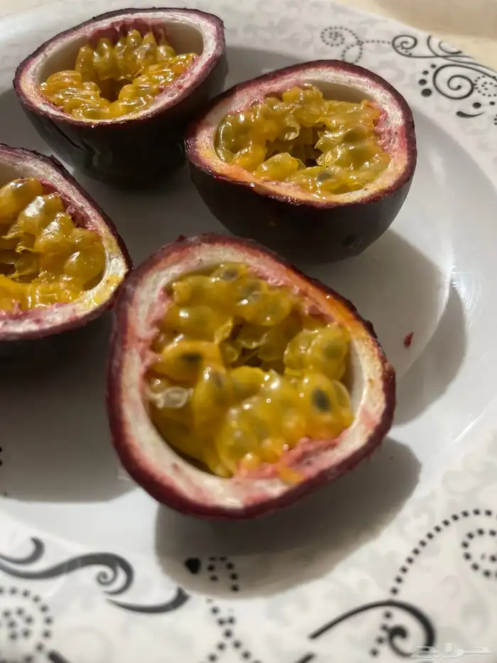 شتلات فاكهة الباشن فروت 2